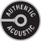 Martin MA535 Authentic Acoustic Custom Light Guitar Strings 11-15-23-32-42-52