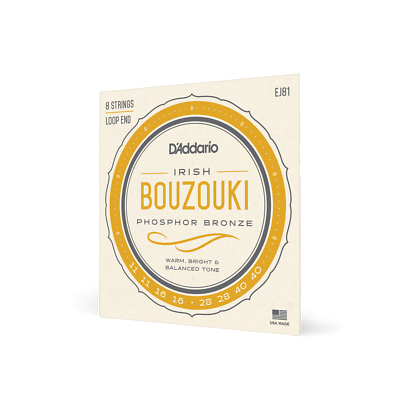 Bouzouki Strings Irish Tuning, Phosphor Bronze, 11-40 Gauge By D'Addario EJ81