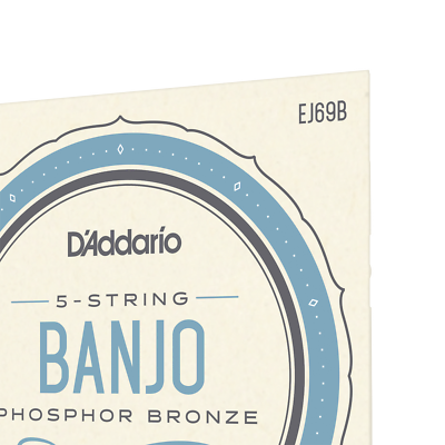 D'Addario EJ69B 5-String Banjo Strings, Phosphor Bronze Wound, Ball End, 9-20