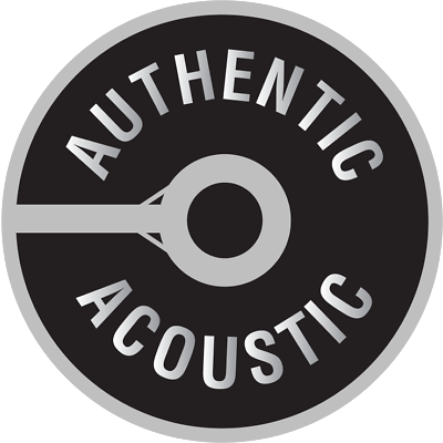 Martin MA140 Authentic Acoustic Light Gauge Guitar Strings 12-16-25-32-42-54