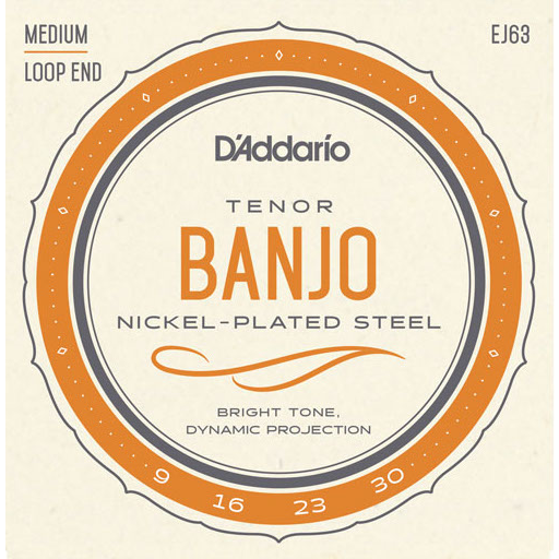 D'Addario EJ63 Tenor Banjo Strings.Gauges.  009, 016, 023w, 030. Loop End