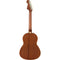 Fender Sonoran  Acoustic Guitar Competition Stripe Lake Placid Blue #0970770102