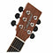 Tanglewood DBT SFCE BW Discovery Super Folk Electro Acoustic