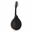 Mandolin, Tanglewood TWM T BKP E Union Series Electric Mandolin