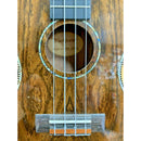 Blackwater 'Butterfly Wood' Electro Acoustic Concert Ukulele, Model: YWUK JM24EQ