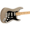 Fender 75th Anniversary Stratocaster Maple/F/B Diamond Anniversary 0147512360