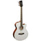 Brunswick White Grand Auditoruim Electro Acoustic Guitar BTK50MW