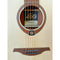 Acoustic Guitar By LAG Tramontane T70A Satin Natural Finish Auditorium