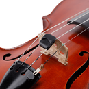 Violin Mute, 'Spector' By D'Addario, Black Finish p/n: 9493