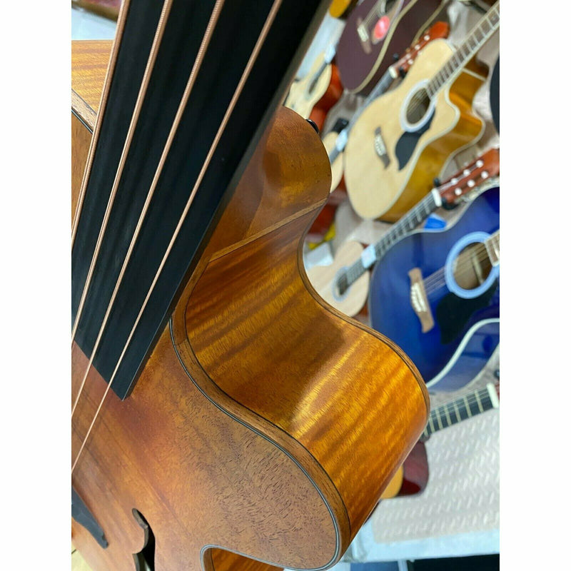 Aria FEB Fretless F Hole Acoustic Bass.Flamed Natural Nato Finish.On Board Tuner