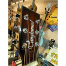 Electro Acoustic Guitar By Tanglewood,  Winterleaf Exotic TW4 E VC KOA