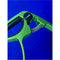 Guitar Capo For Acoustic and Electric Guitars, Green Capo CM04 GR