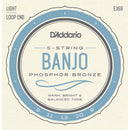 Banjo Strings D'Addario EJ69 5-String ,Phosphor Bronze Wound,Loop End,9-20 Light