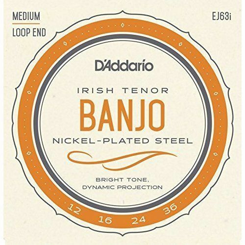 2 X D'Addario EJ63i Irish Tenor Banjo Strings.Loopend