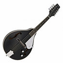 Mandolin, Tanglewood TWM T BKP E Union Series Electric Mandolin