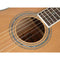 Richwood Parlor Blues Acoustic Guitar RV-70-NT