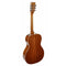 Richwood Parlor Blues Acoustic Guitar RV-70-NT