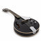 Mandolin, Tanglewood TWM T BKP E Union Series Electric Mandolin