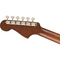 Fender FSR Newporter Player, Walnut Fingerboard, All Mahogany p/n 0970743022