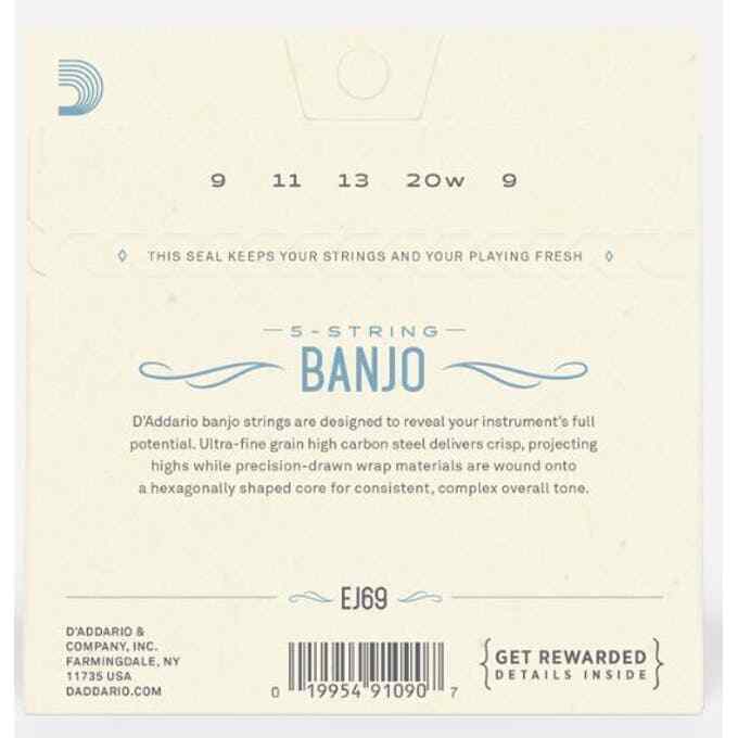 2 X D'Addario EJ69 5-String Banjo Strings, Phosphor Bronze Wound,Loop End,9-20