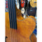 Aria FEB Fretless F Hole Acoustic Bass.Flamed Natural Nato Finish.On Board Tuner