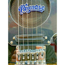 Pignose PGG-200BK Black Electric Travel Guitar. Built In Speaker, Headphone Out